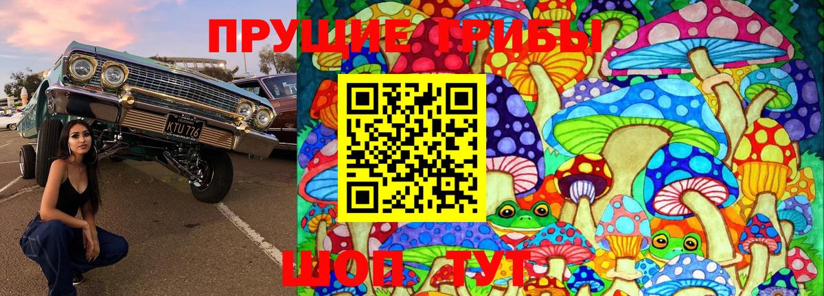 Галлюциногенные грибы Magic Shrooms  Вход с VPN  Шатура 