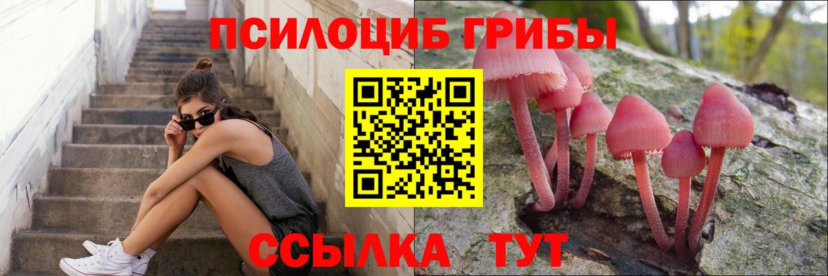 Псилоцибиновые грибы мухоморы Шатура