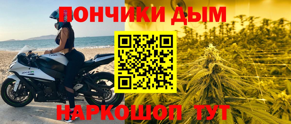 Бошки марихуана сатива Шатура